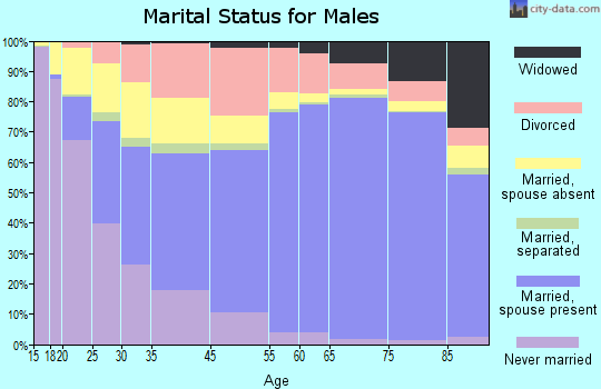 Litchfield County marital status for males