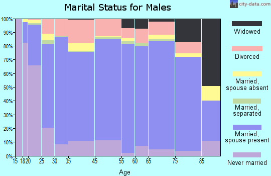 Brooks County marital status for males