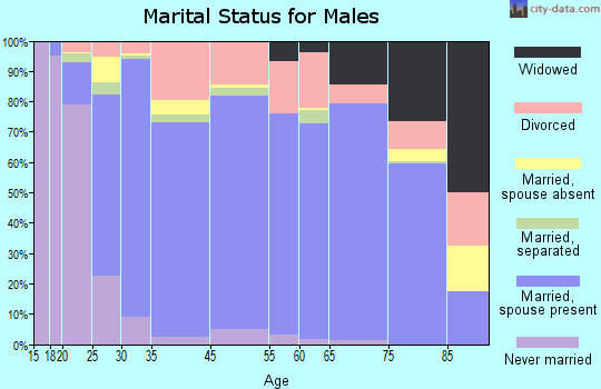 Culpeper County marital status for males