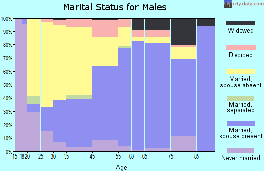 McDowell County marital status for males