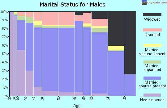 Charlton County marital status for males
