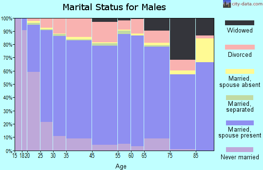 Effingham County marital status for males