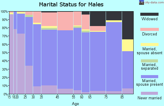 Clark County marital status for males