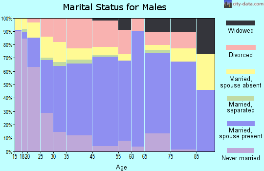 Genesee County marital status for males