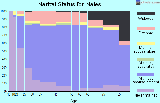 Lewis and Clark County marital status for males