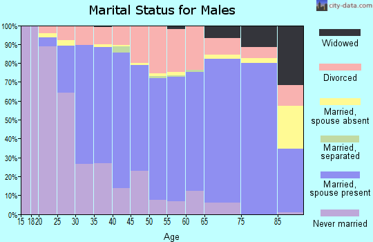 Sagadahoc County marital status for males