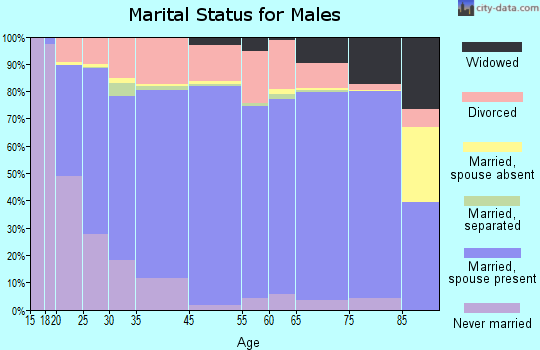 Fentress County marital status for males