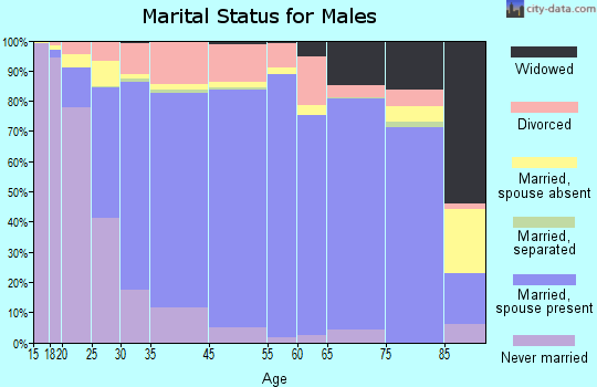 Utah County marital status for males