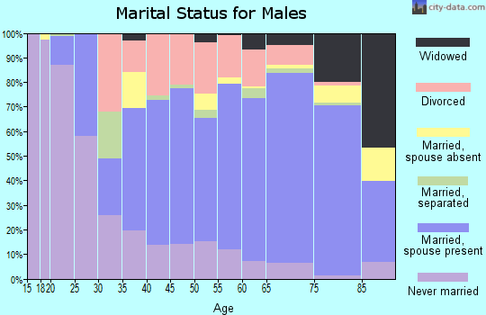 Clarke County marital status for males