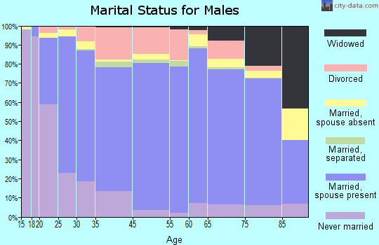 Iowa County marital status for males