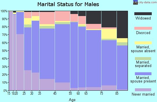 Ada County marital status for males