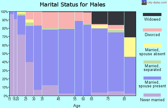 Bethel Census Area marital status for males