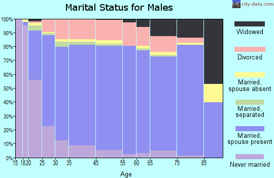 Gunnison County marital status for males