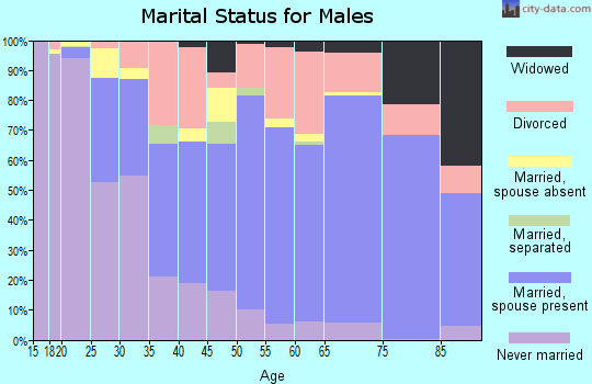 Nye County marital status for males