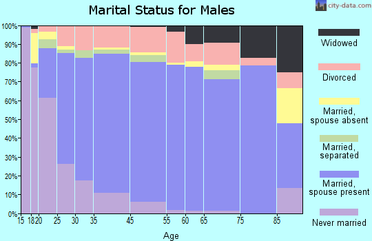 Chatham County marital status for males