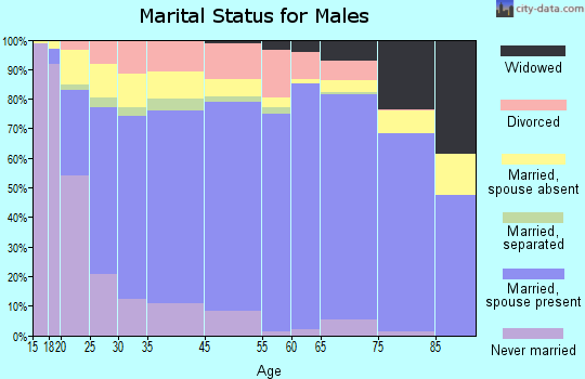 Gladwin County marital status for males