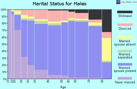 Holmes County marital status for males