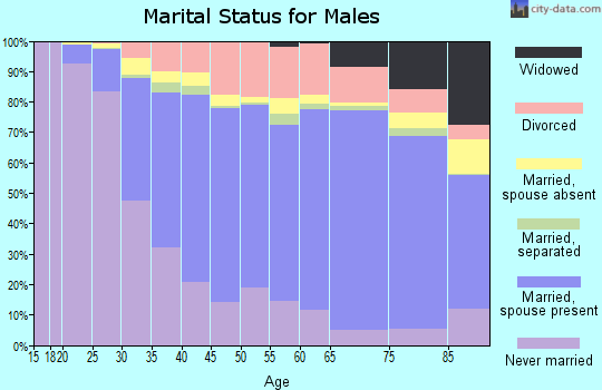 New Castle County marital status for males