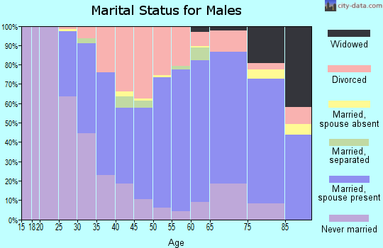Cameron County marital status for males