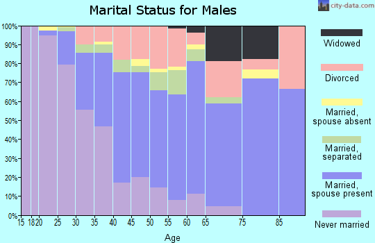 Chester County marital status for males