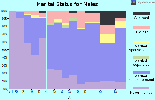 Charles Mix County marital status for males