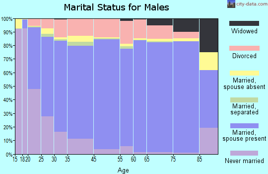 Allamakee County marital status for males