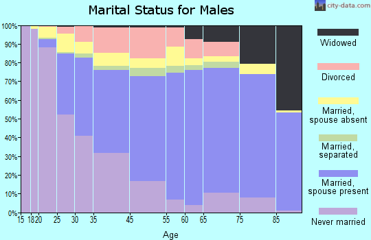 Wasatch County marital status for males