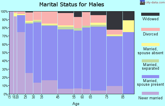 Juab County marital status for males