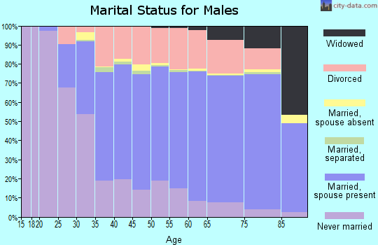 Washington County marital status for males