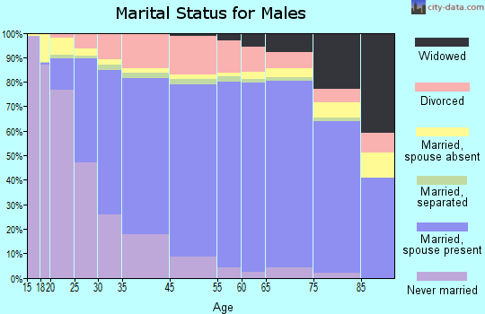 Iron County marital status for males
