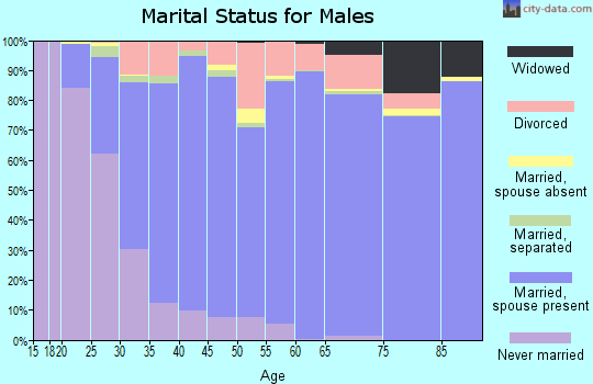 Botetourt County marital status for males