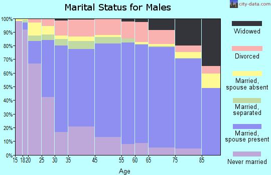 Hernando County marital status for males