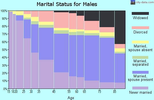 Jerome County marital status for males