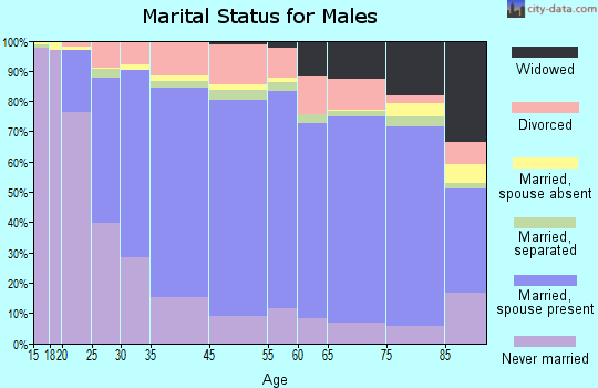 Decatur County marital status for males