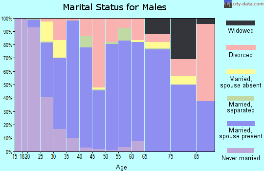 Brantley County marital status for males