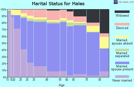 Camas County marital status for males