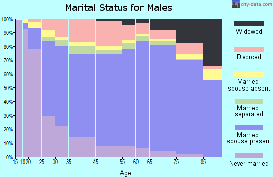 Burnet County marital status for males