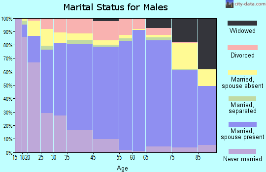 Dinwiddie County marital status for males