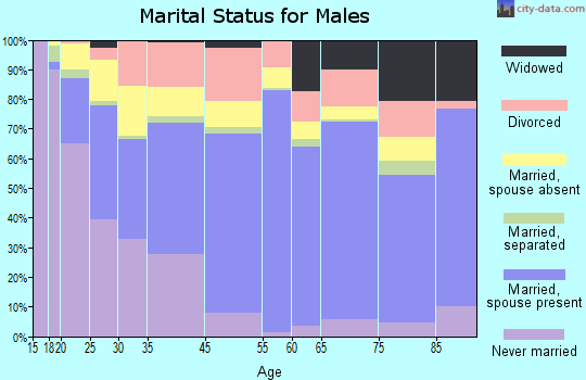 Mason County marital status for males