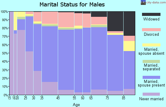 Etowah County marital status for males