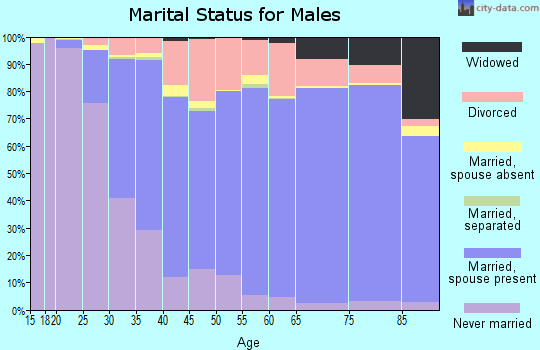Chisago County marital status for males