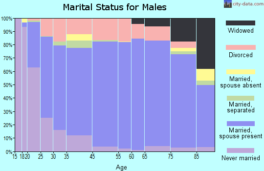Bristol County marital status for males