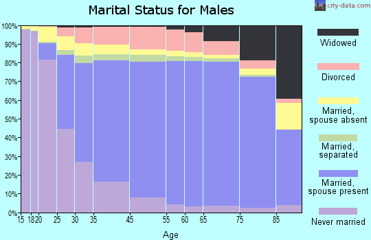 Houston County marital status for males
