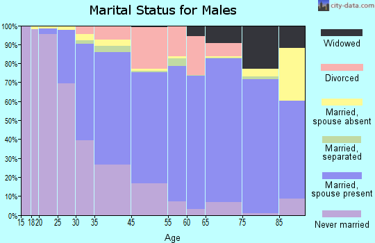 Hillsborough County marital status for males