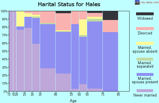 Ford County marital status for males