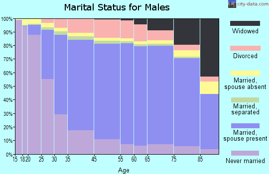 Hubbard County marital status for males