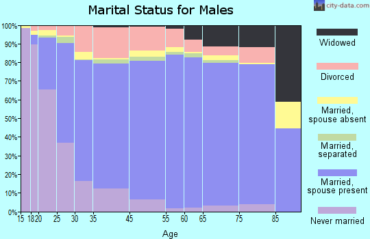 Atchison County marital status for males