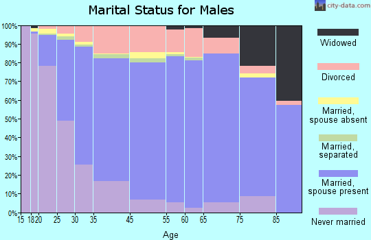Dundy County marital status for males
