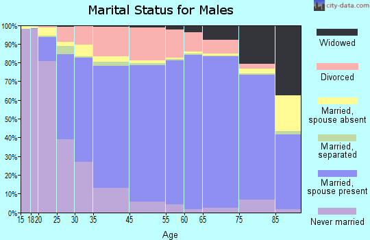 Hamlin County marital status for males