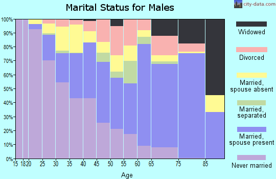 DeSoto County marital status for males